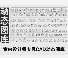ʦר CADƽ涯̬ͼ