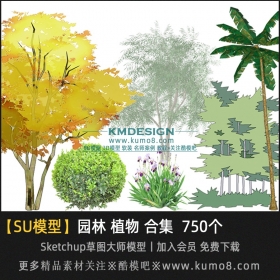 景观植物灌木 乔木草图大师SU模型